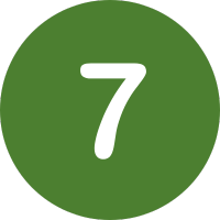 Number 7