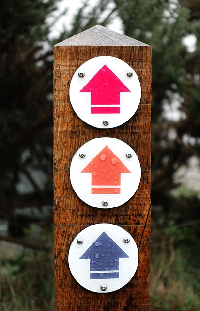 Wooden post with different coloured paths marked
