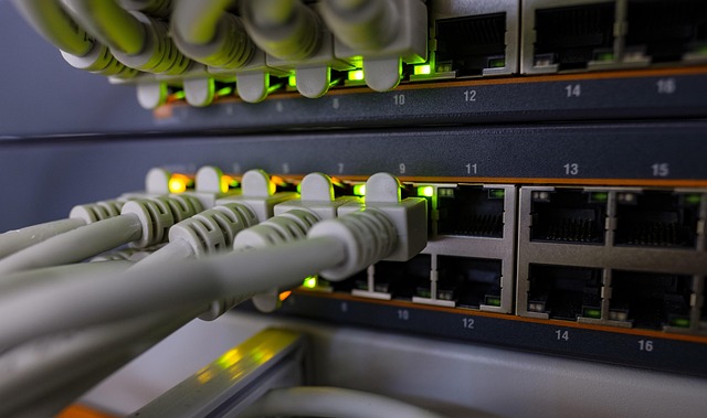 Network cables going into a server